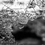 Foto: Jilbert Ebrahimi (Unsplash)