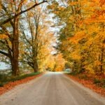 Foto: LXS Photography (Unsplash)