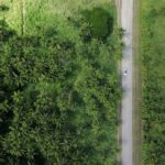 Foto: Michael Olsen / Unsplash